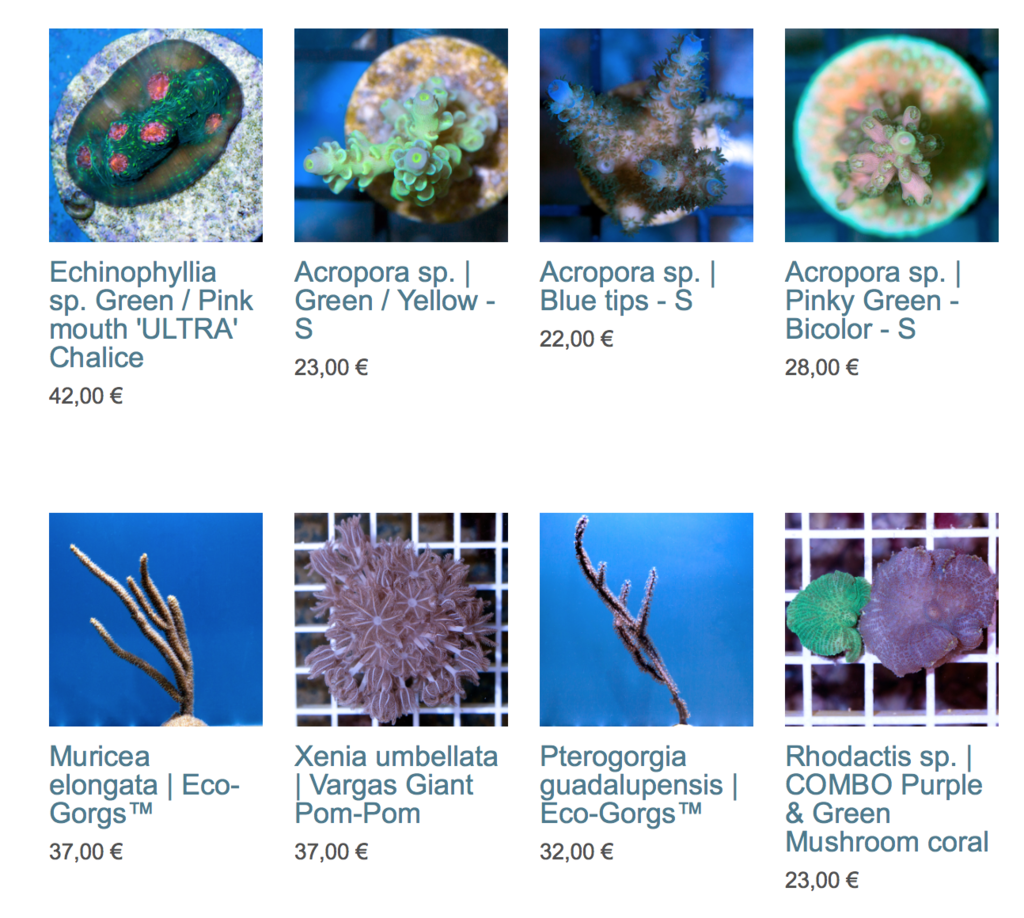 coralbiome-img02.png