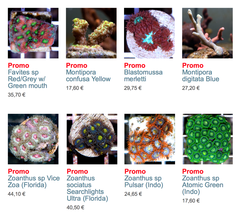 coral-biome-img01.png