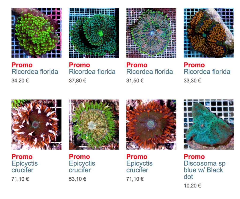 coral-biome-img02.png