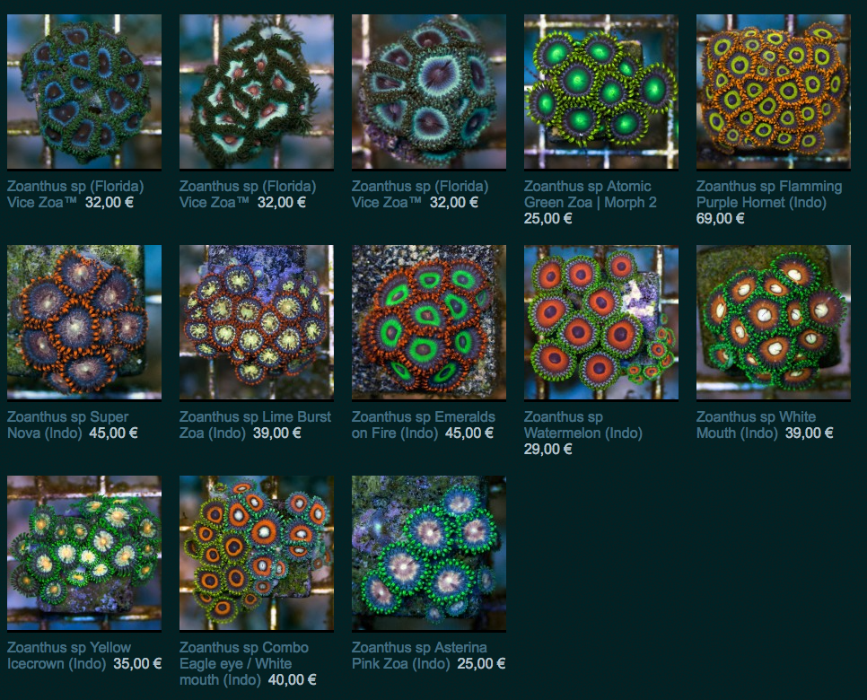 img01.png
