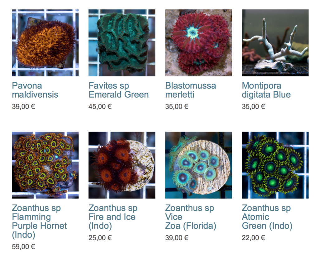 coralbiome-img01.png