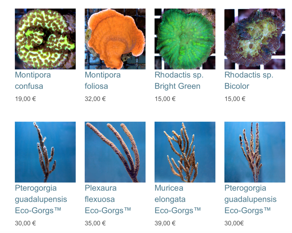 coralbiome-img02.png