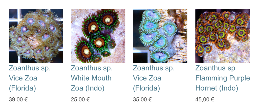 coralbiome-img03.png