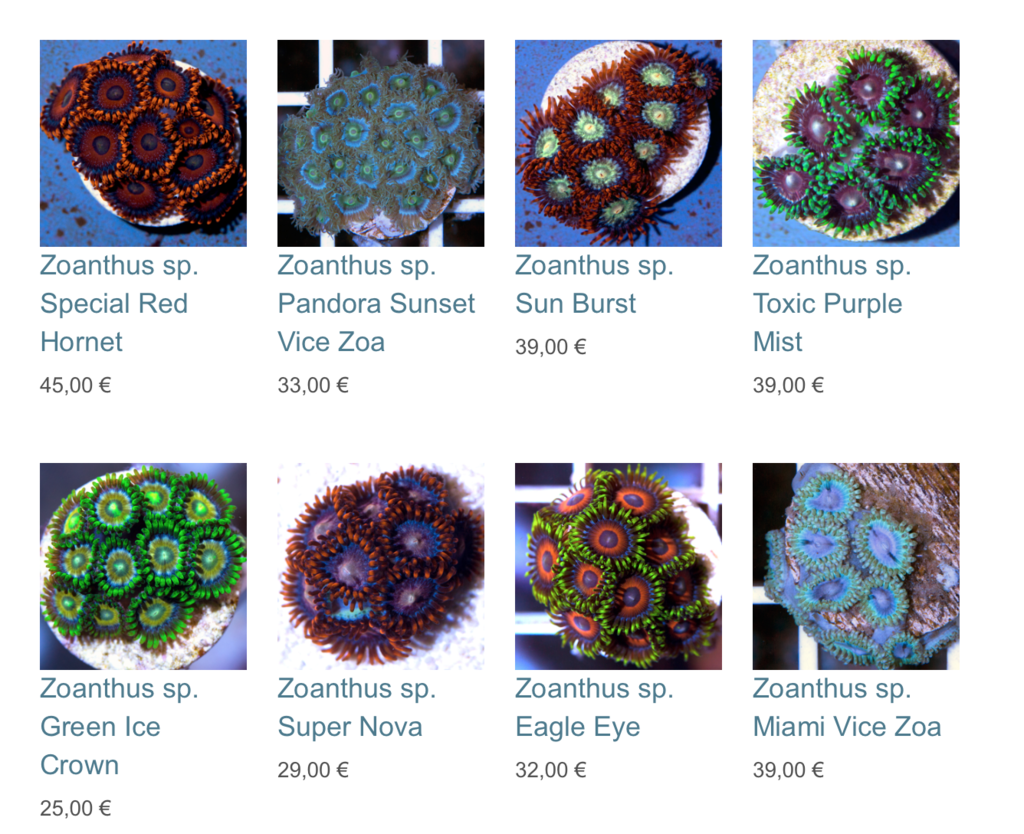 coralbiome-img01.png