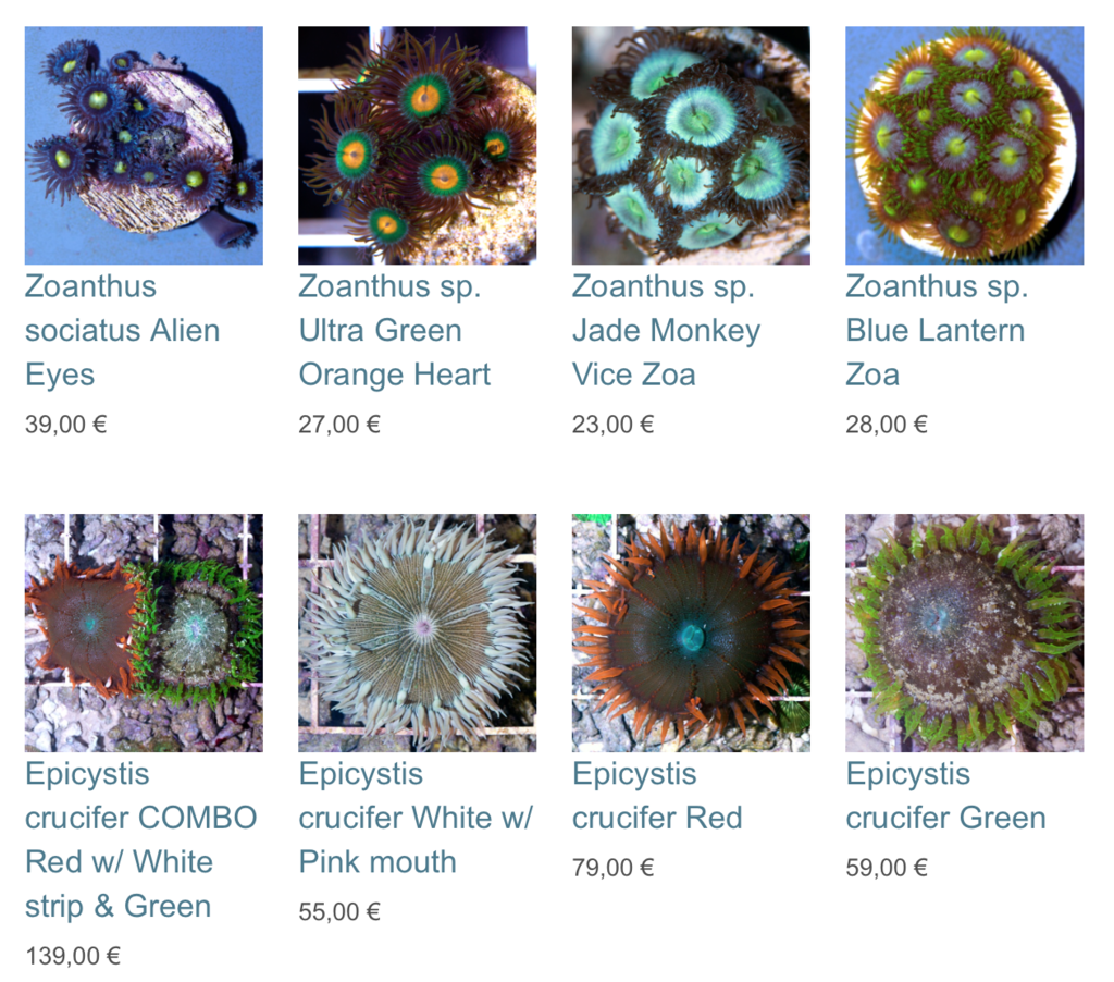 coralbiome-img01.png
