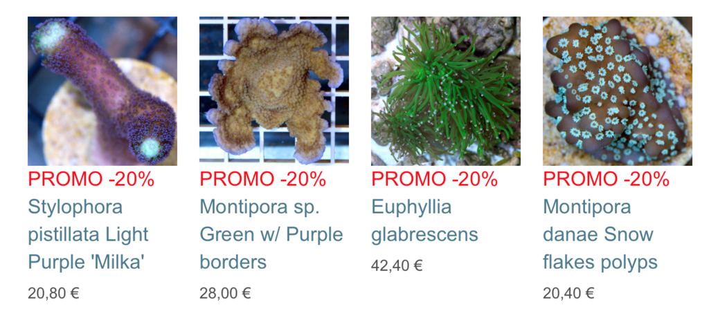coralbiome-img02.png