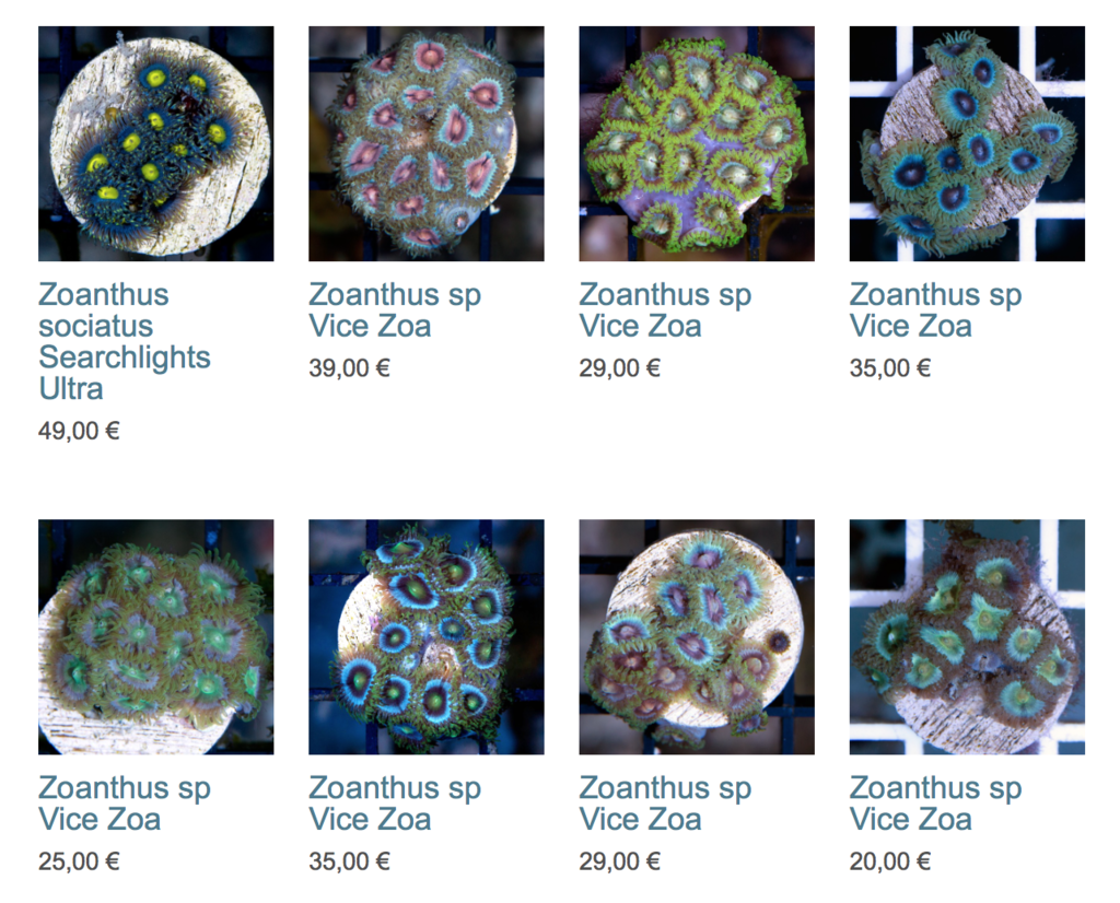 coralbiome-WYSIWYG-19-octobre-2015-image02.png