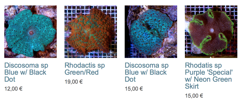 coralbiome-WYSIWYG-19-octobre-2015-image03.png