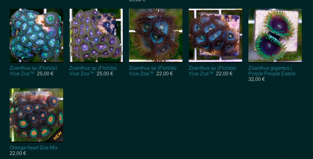 zozo3.png