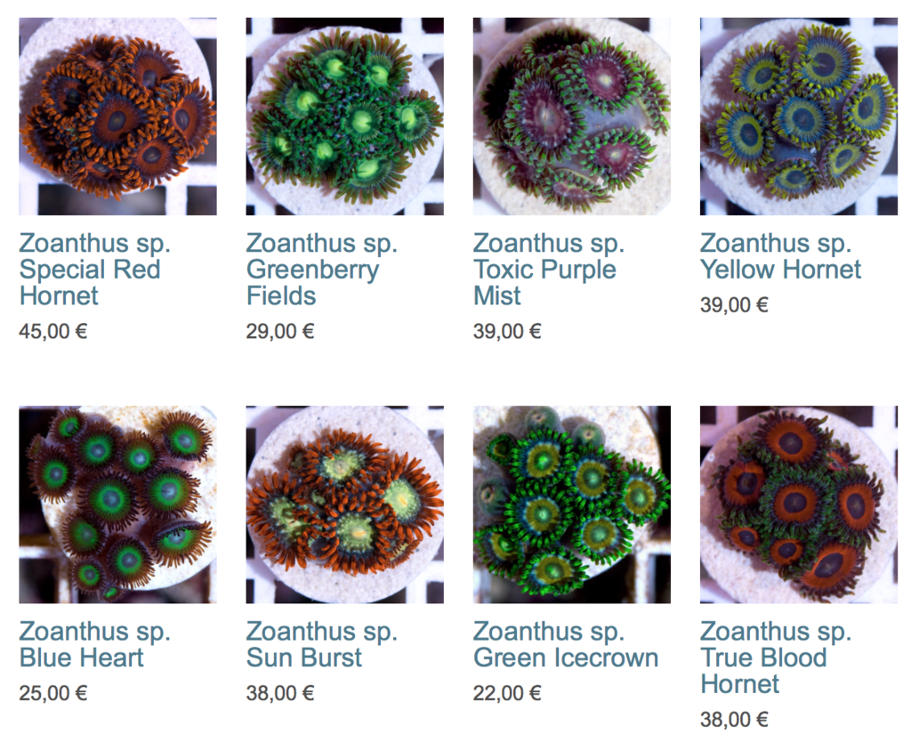 coral-biome-img01.png
