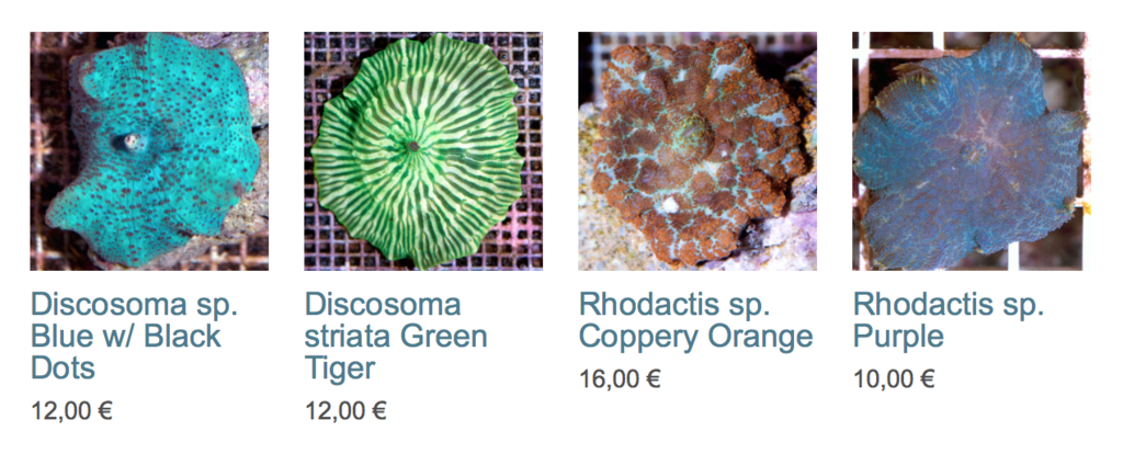coral-biome-img02.png