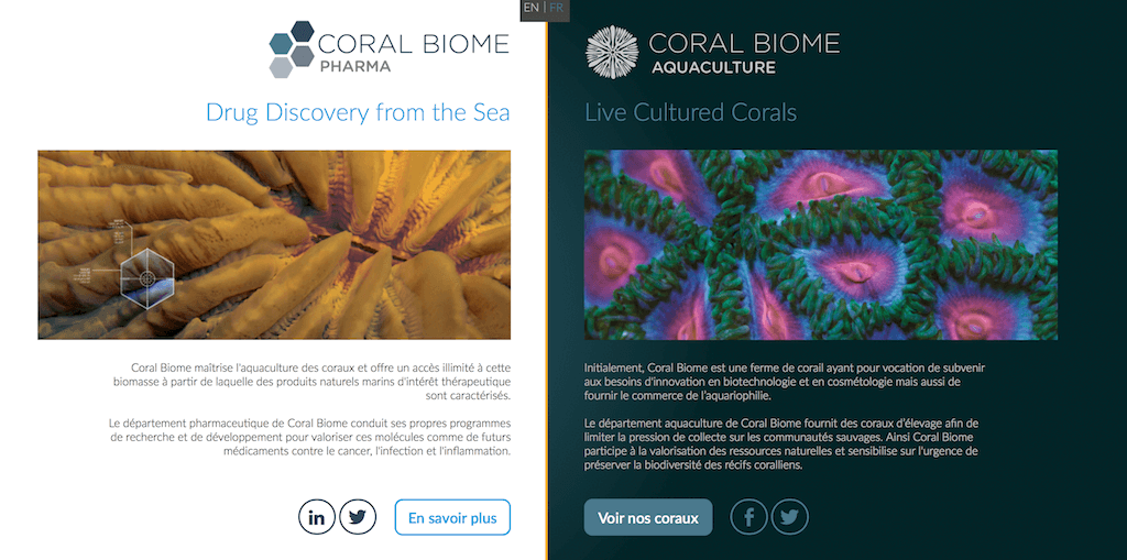 coral-biome-img01.png