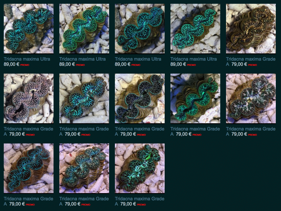 img01.png
