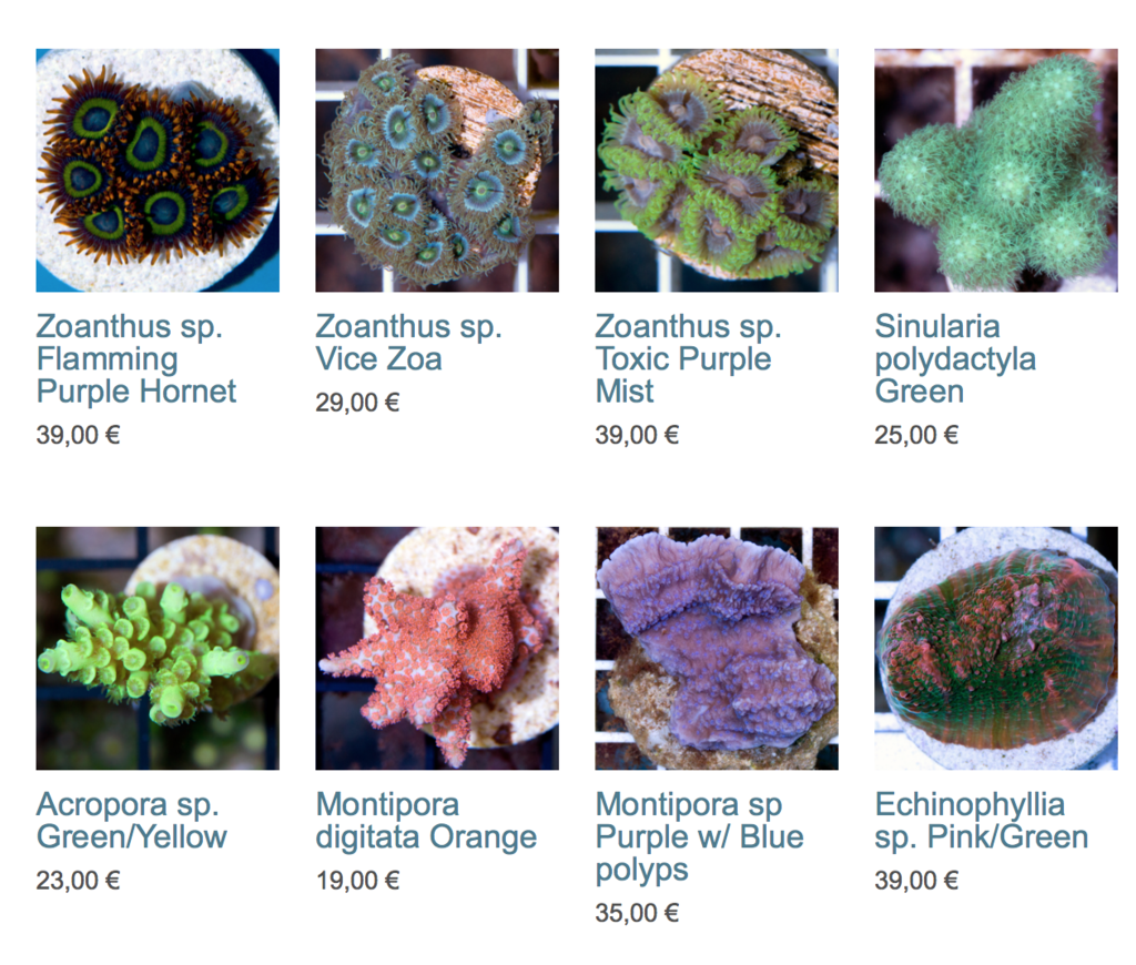 coral-biome-img01.png