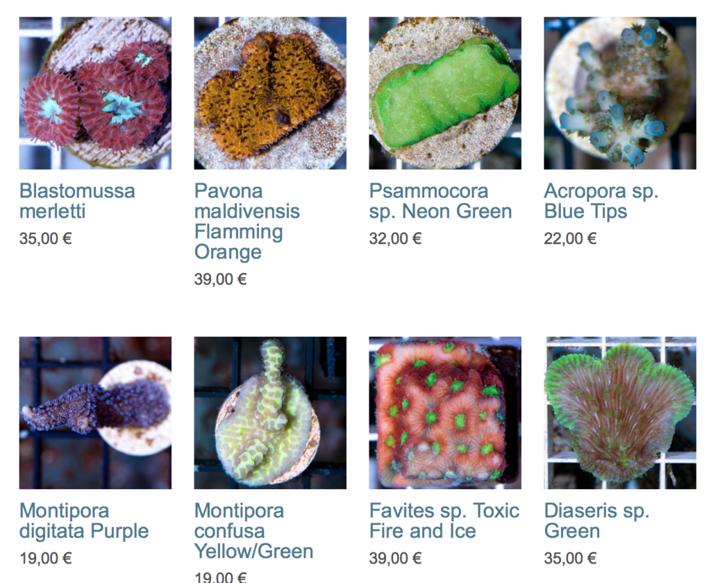coral-biome-img02.png