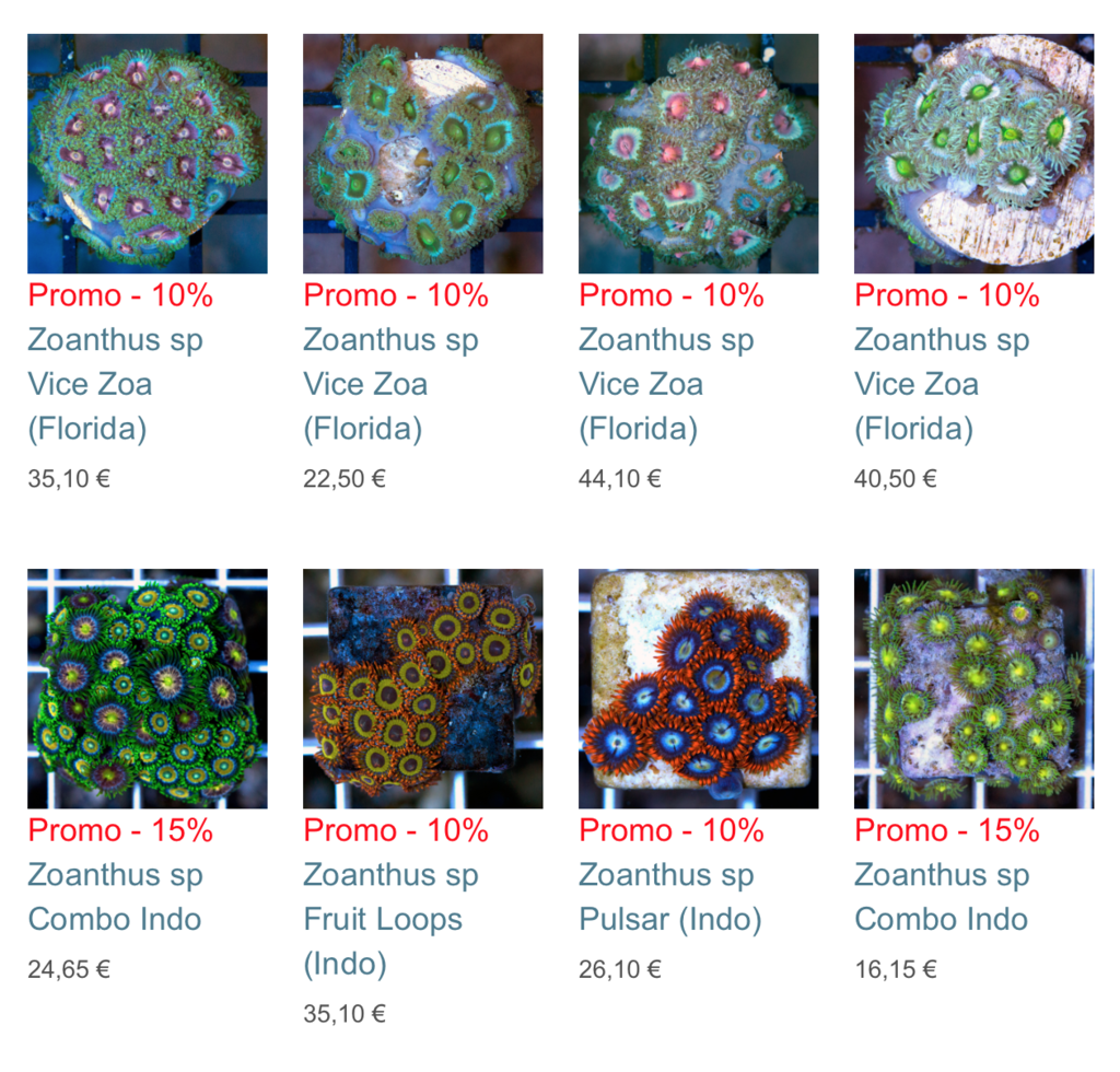 coral-biome-img01.png