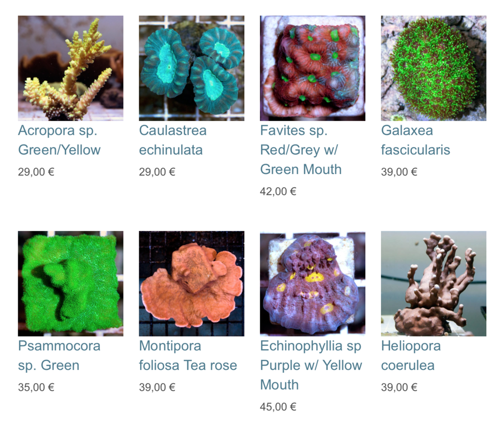 coral-biome-im01.png