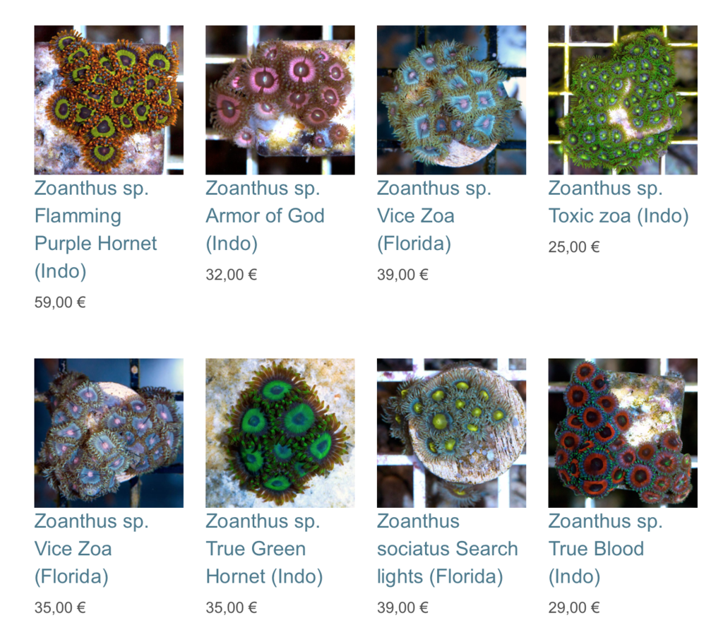 coral-biome-img02.png