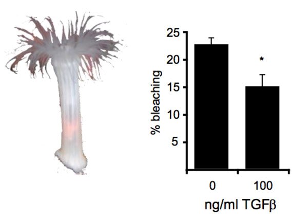 fig1.jpg