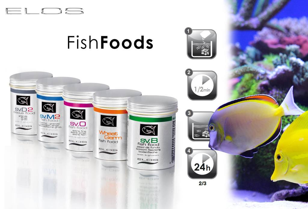 Elos presente FishFoods Recifal News