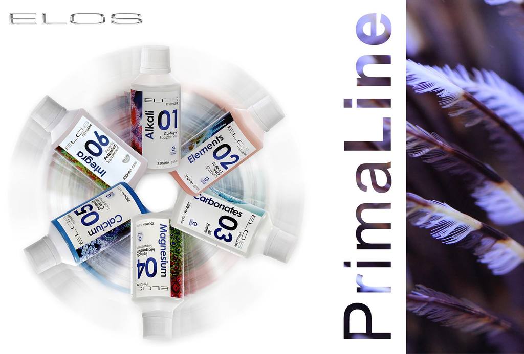 elos-primaline.jpg