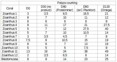 Elos-polyps-counting.jpg