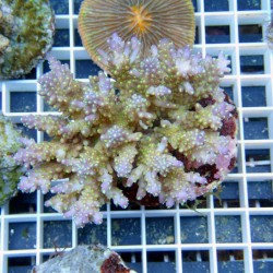 img08.jpg