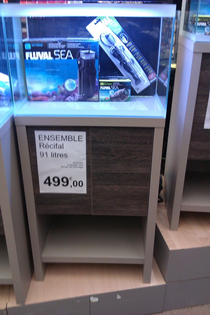IMAG0564.jpg