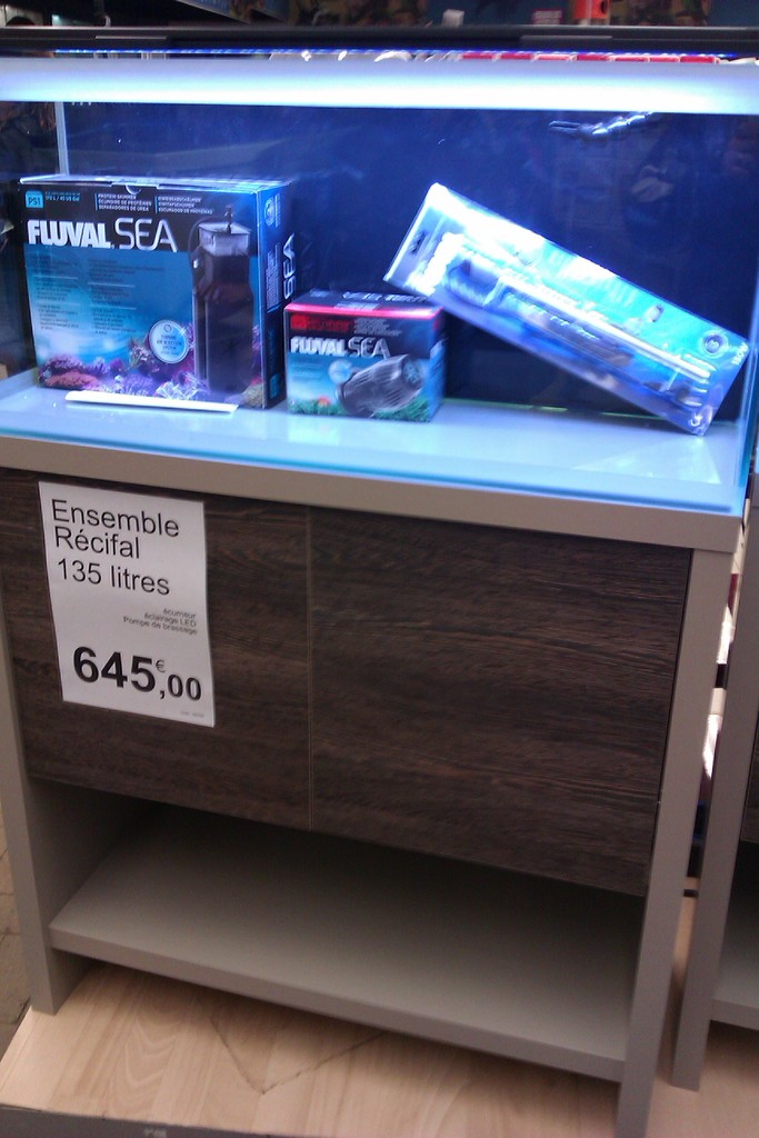 IMAG0565.jpg