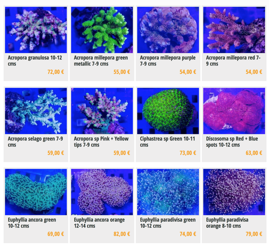 marinelife-img01.png