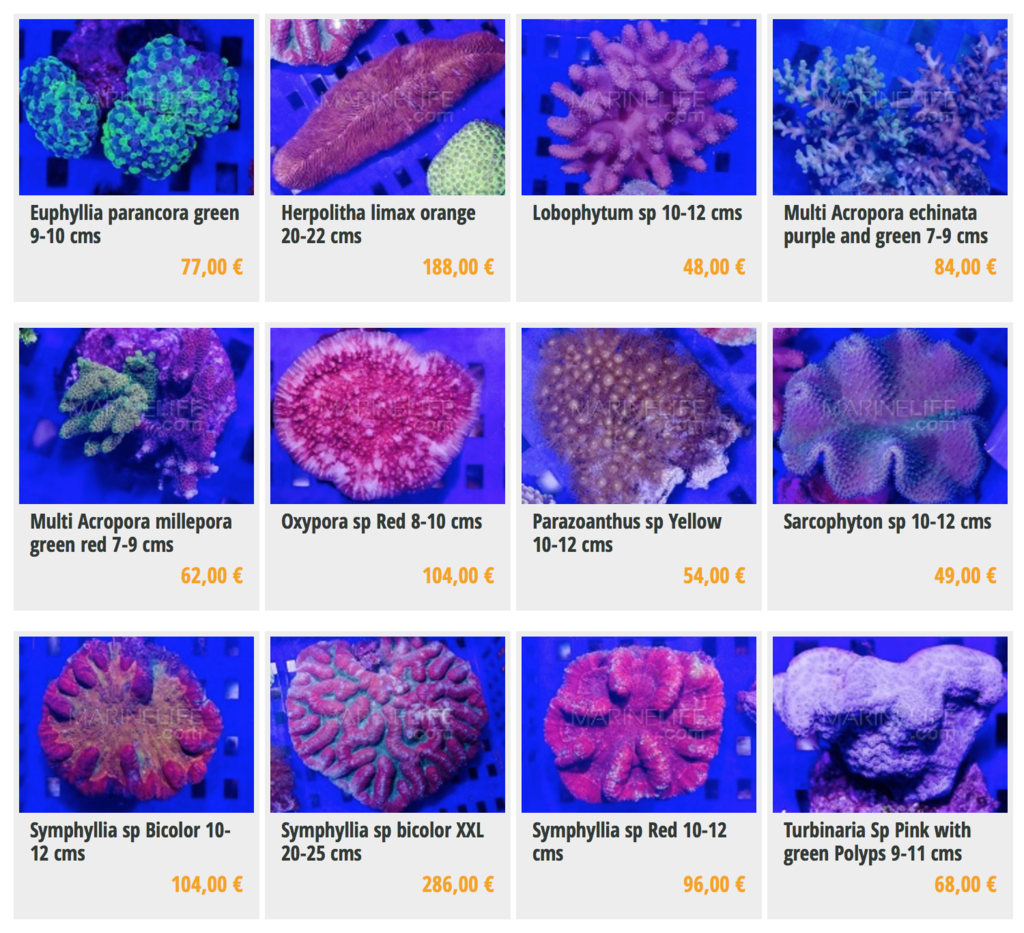 marinelife-img02.png