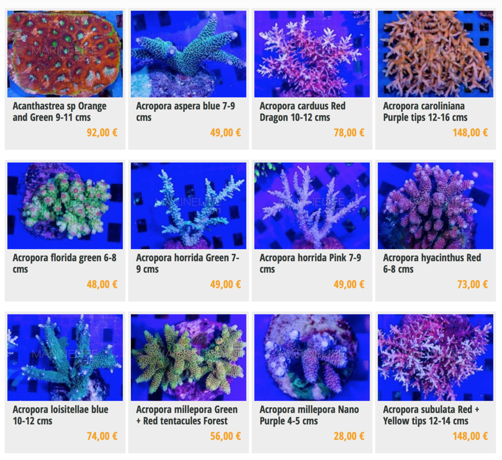 marinelife-img01.png