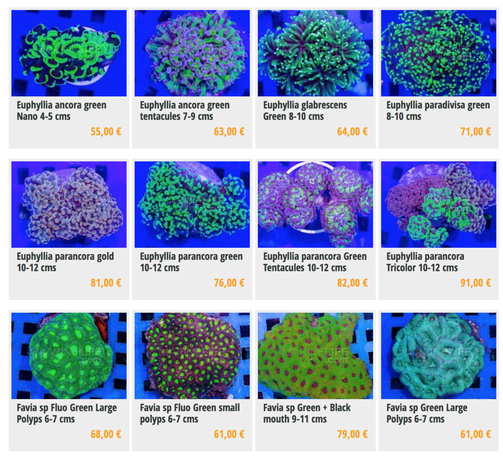 marinelife-img03.png