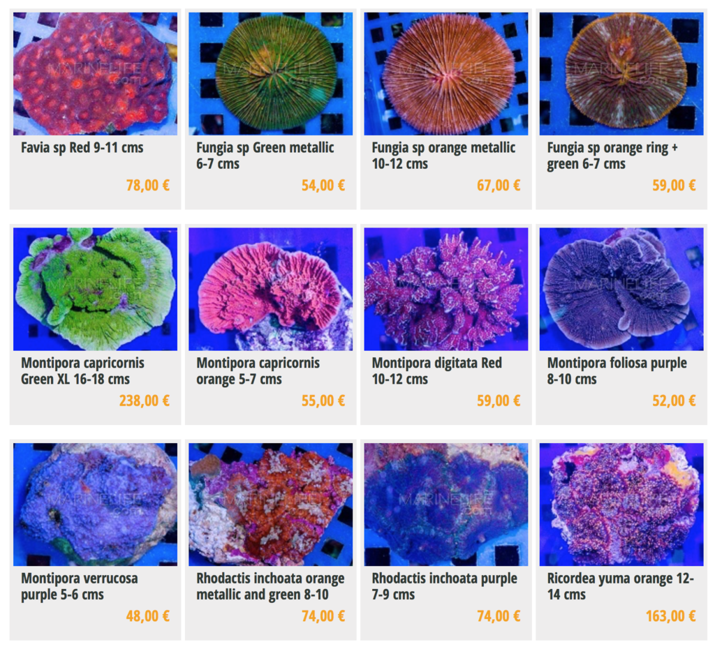 marinelife-img04.png