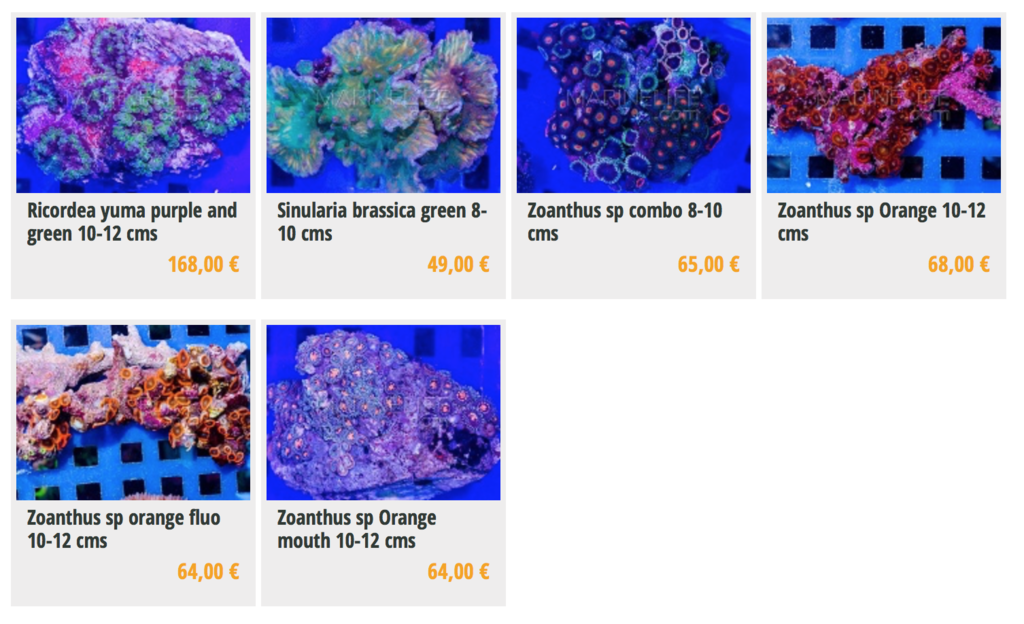 marinelife-img05.png