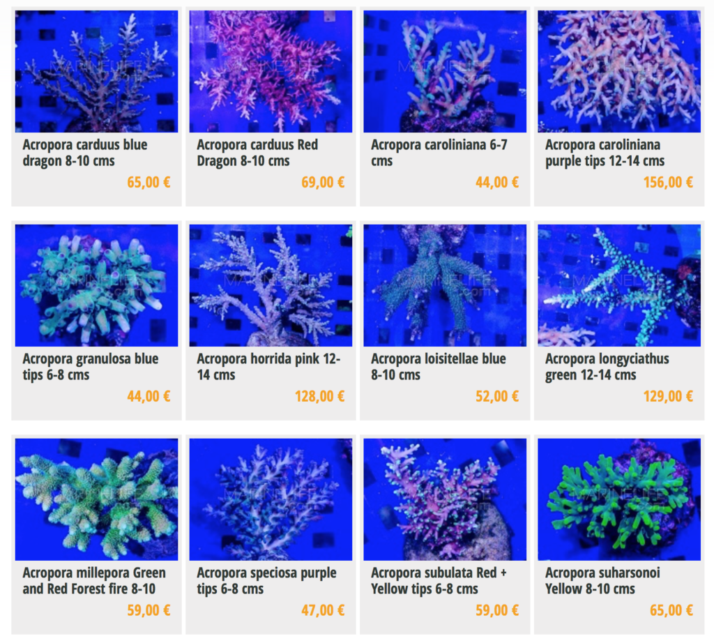 marinelife-img01.png