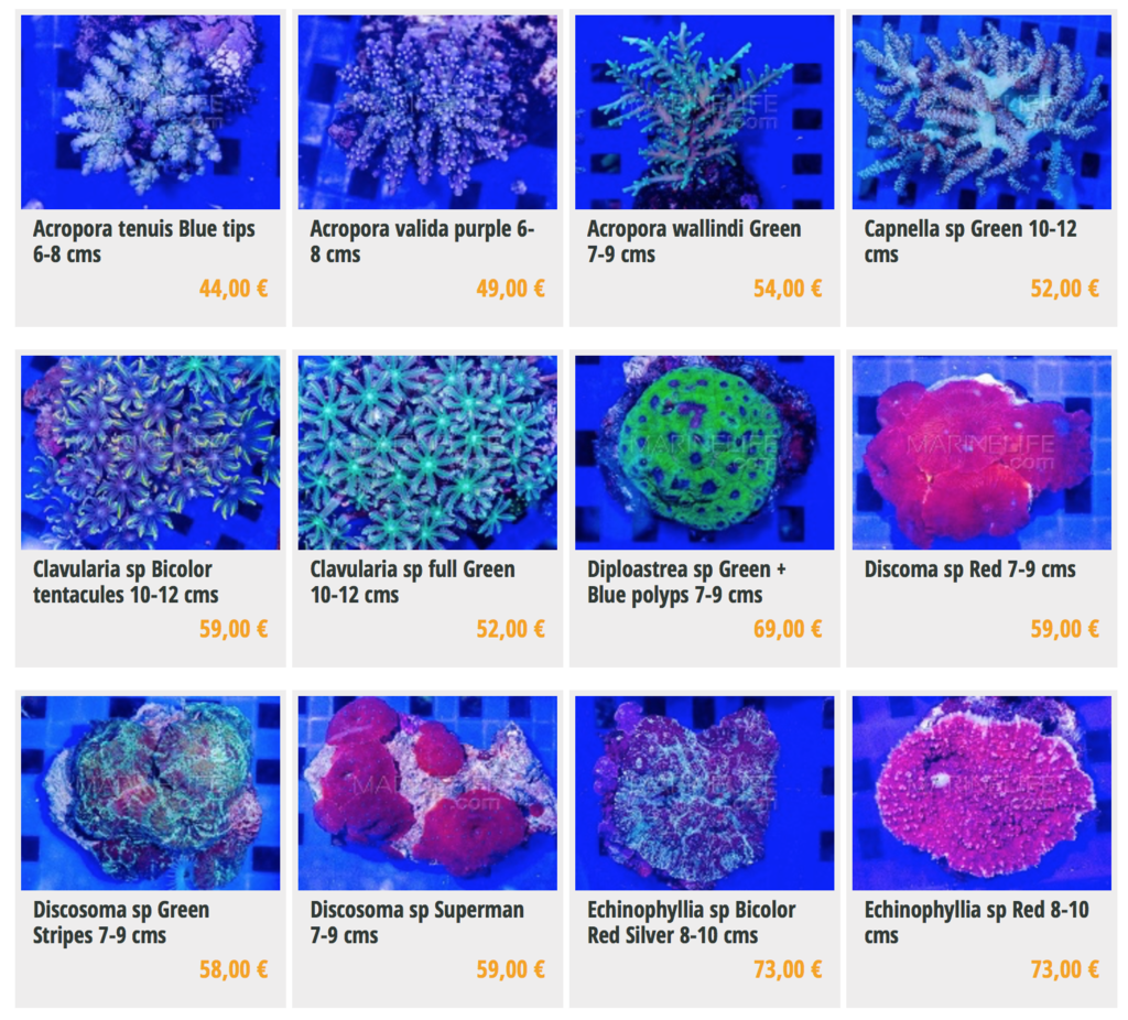marinelife-img02.png