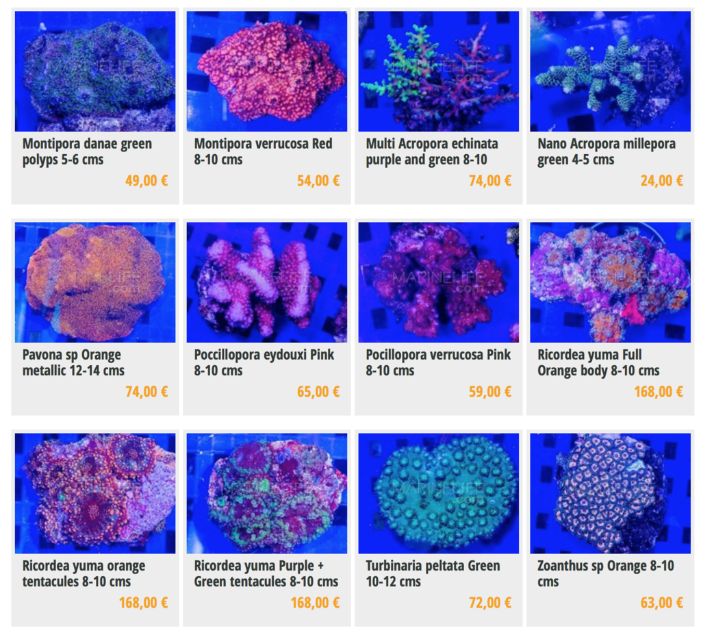 marinelife-img04.png