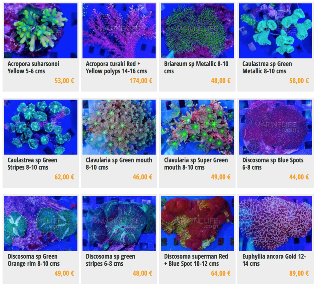 marinelife-img01.png