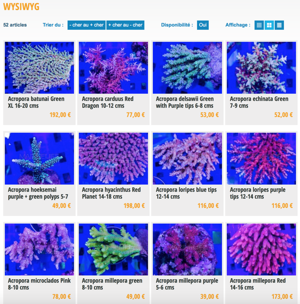 marinelife-img02.png