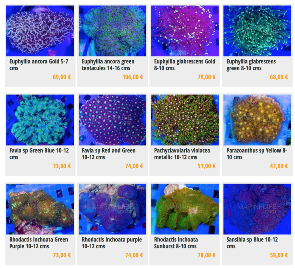 marinelife-img03.png