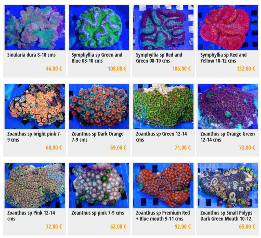 marinelife-img04.png