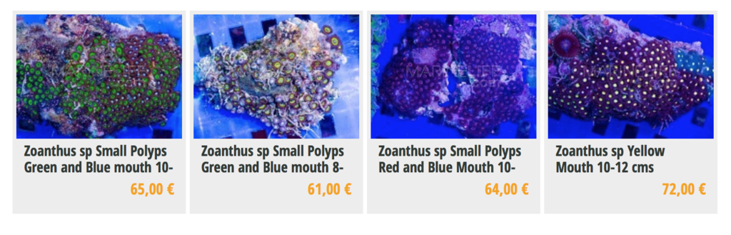 marinelife-img05.png
