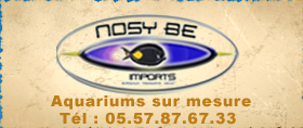 nosybe.png