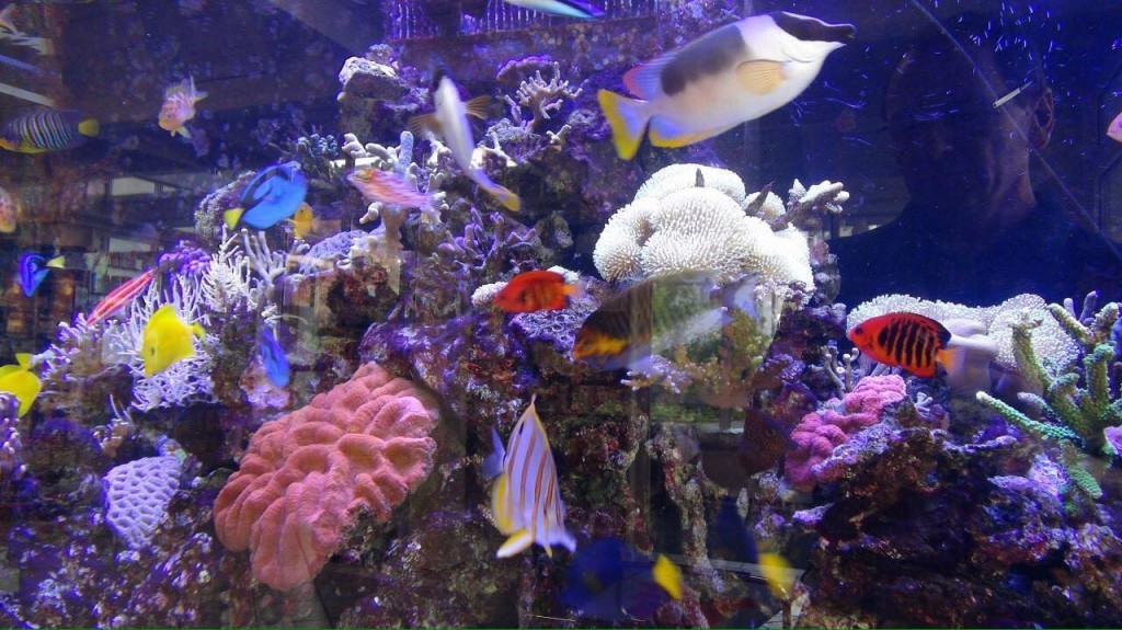 img04.jpg