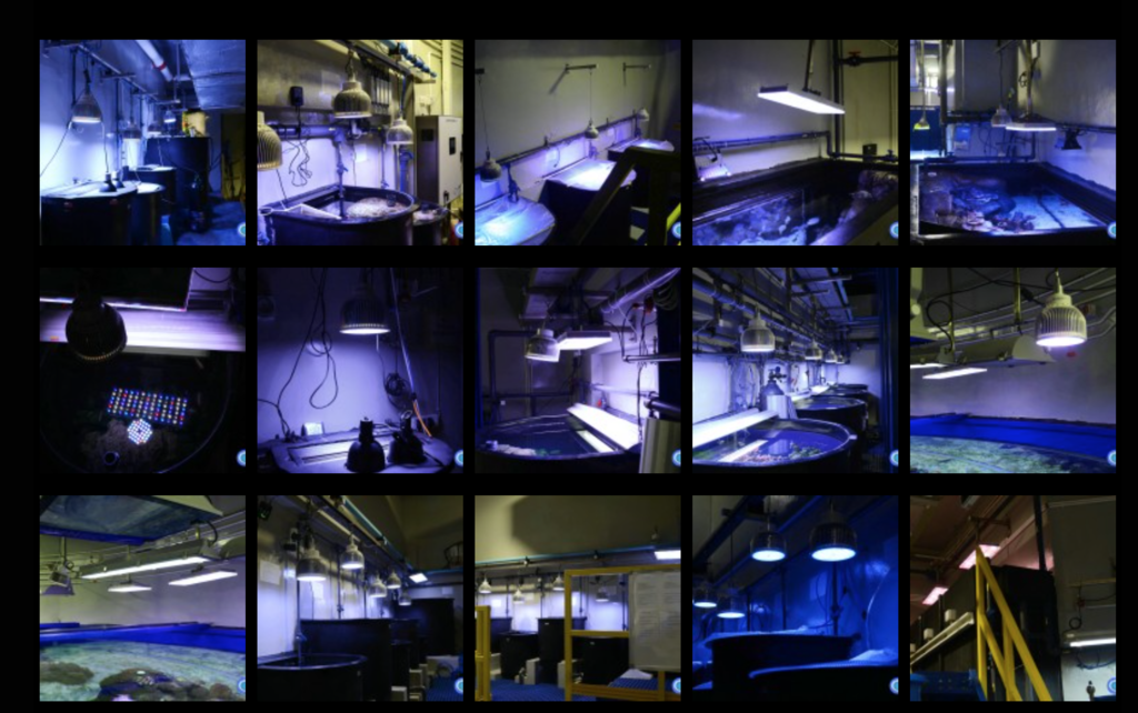 img06.png
