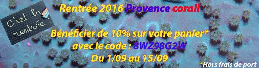 provence-corail-img01.jpg