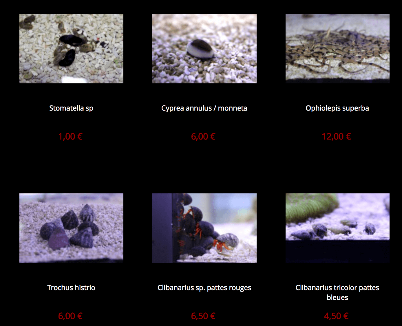 provence-corail-img02.png