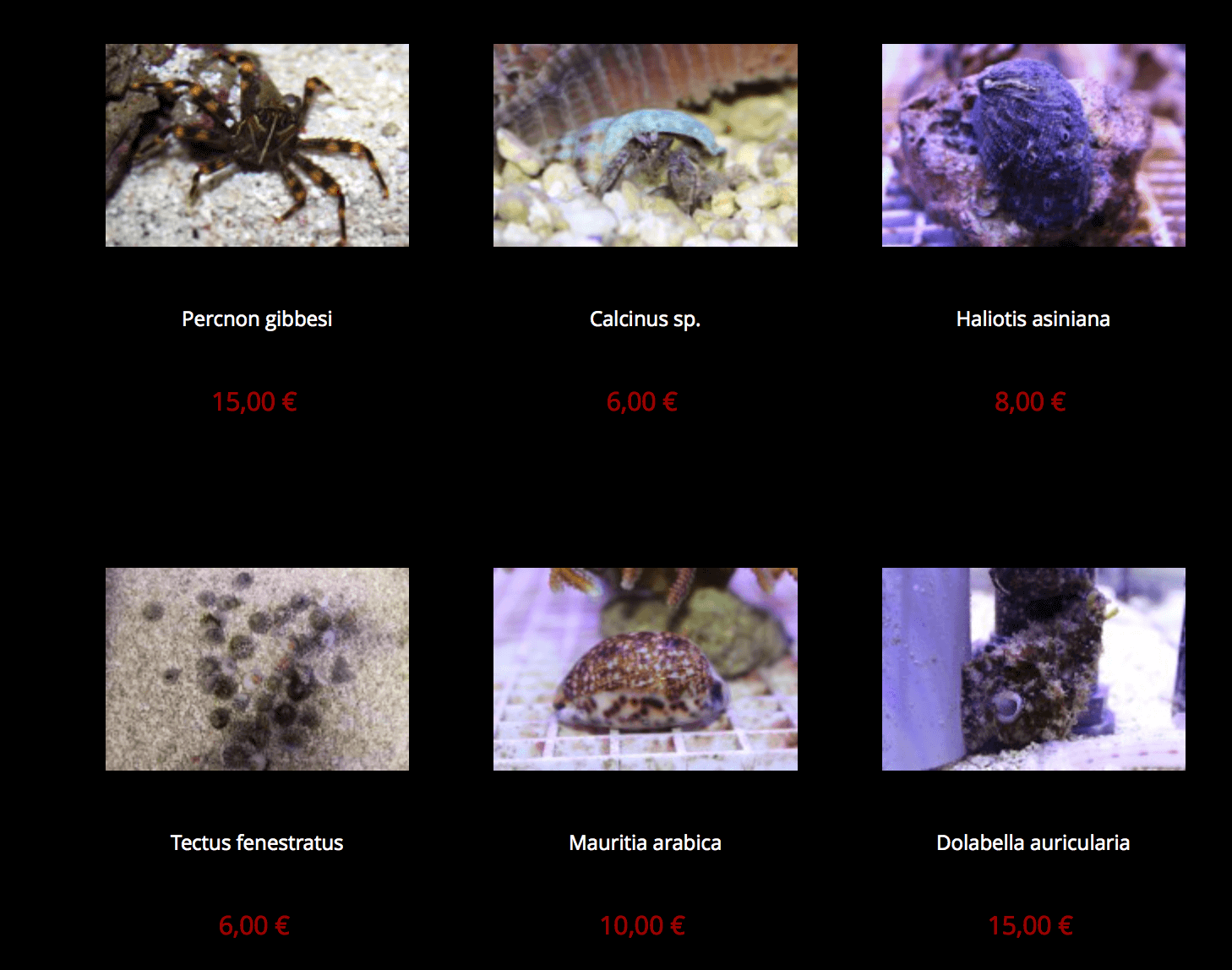 provence-corail-img03.png