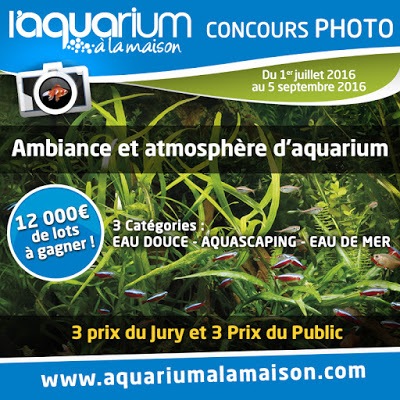 ALM_ConcoursPhoto-2016.jpg